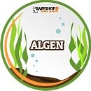 Algen/Kräuter