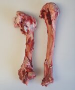 Hirsch - Knochen 2 Stück