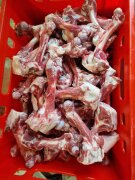 Ziegen Knochen 2 Stück