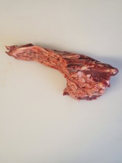 Hirsch - Schwanz